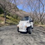 コムス飼いました（としちゃんさんから拝借）　EVミニカー　